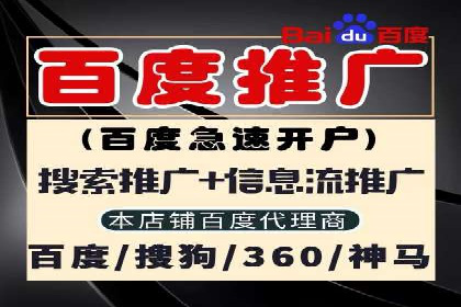 搜索引擎营销（SEM）推广策略案例分享